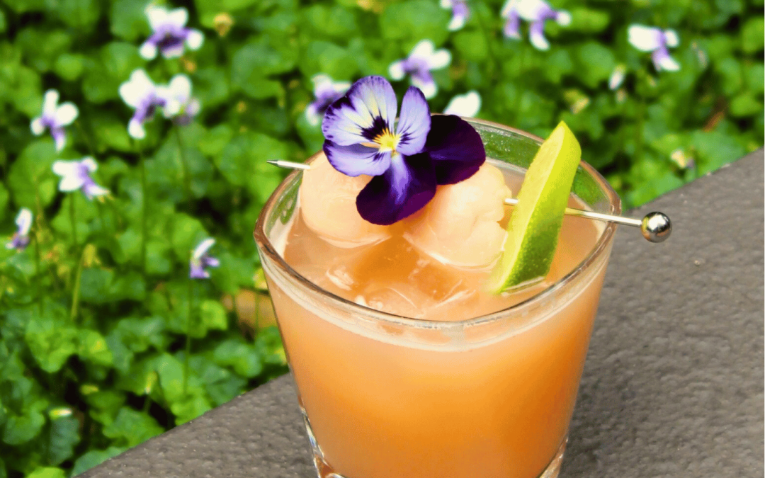 Cocktail of the Month